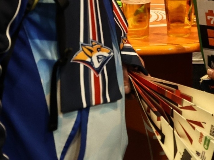 Разин заявил, что в игре с «Ак Барсом» хоккеистов «Металлурга» подвели мелочи