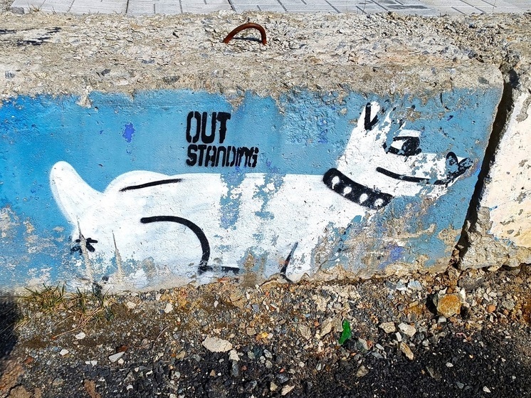 Жители Екатеринбурга пожаловались на женщину, которая травит собак