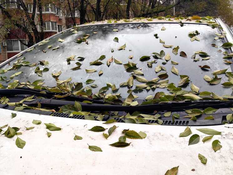 Автовладельцев ДФО ждет двойной удар: техосмотр подорожает в 2026 году