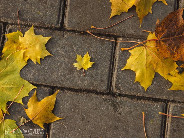 Ночью 30 октября в Карелии ожидается похолодание до 0°С