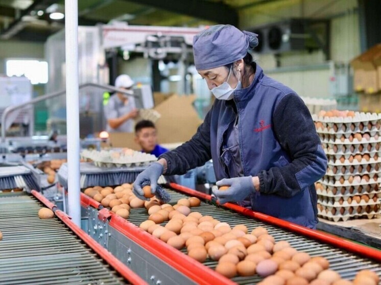 Монголия крепко взялась за яйца для отказа от их импорта