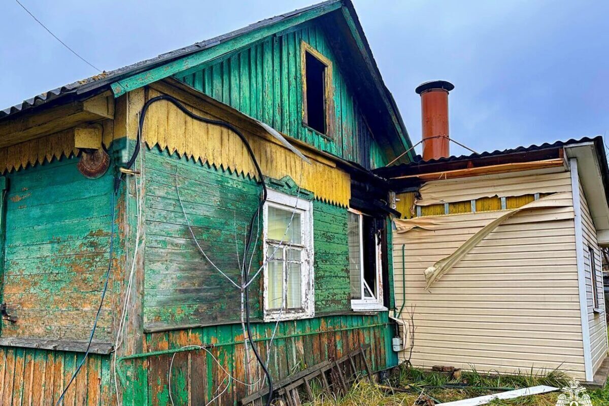 При пожаре в Смоленске чуть не сгорела собака