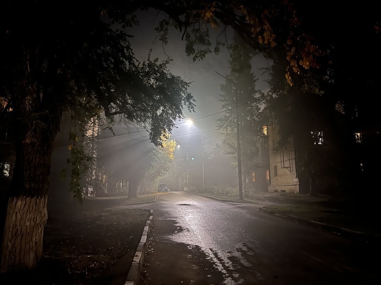 На Саратовскую область снова надвигается туман