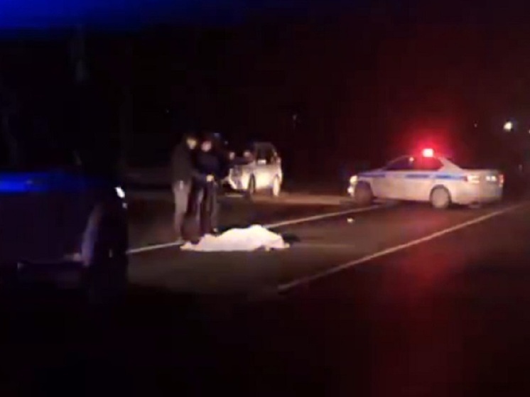 ГАИ разыскивает водителя, сбившего насмерть пожилую женщину на трассе в Карелии