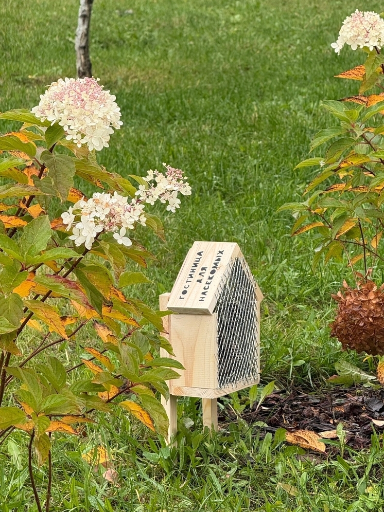 В Иванове появились «отели» для насекомых