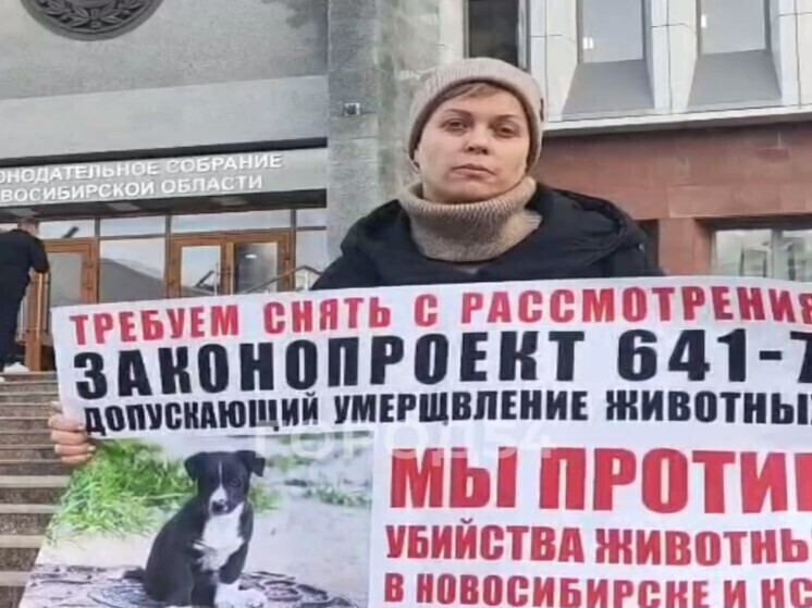 Полиция прокомментировала одиночный пикет зоозащитницы в Новосибирске