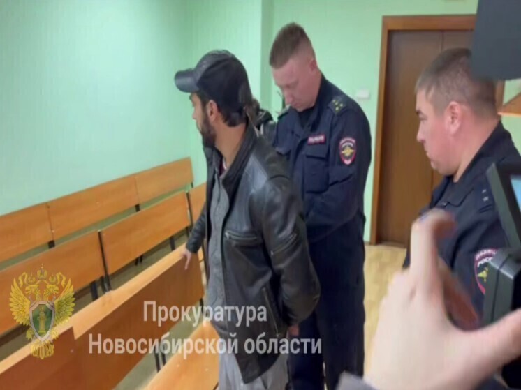 Новосибирца отправили на 8 месяцев в колонию строгого режима за пьяную езду