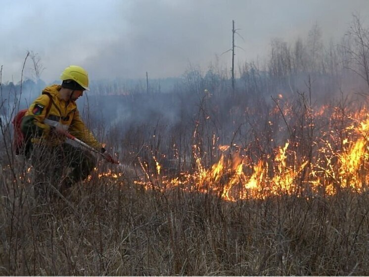 Число детей-виновников ландшафтных пожаров растет в Забайкалье