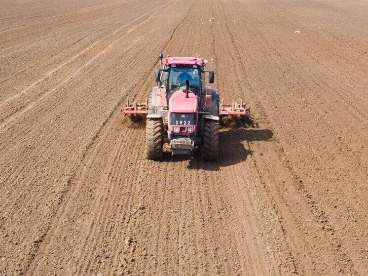 Ивановские аграрии засеяли озимыми 21 гектар земли