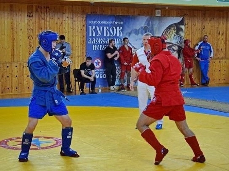 Во Владимире разыграют Кубок Александра Невского по самбо