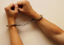 Аферист, участвовавший в обмане 101-летней жительницы подмосковной Каширы, ветерана Великой Отечественной войны, задержан сотрудниками полиции