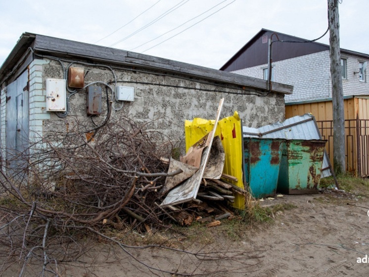 В НАО запретили выбрасывать листья в мусорные контейнеры