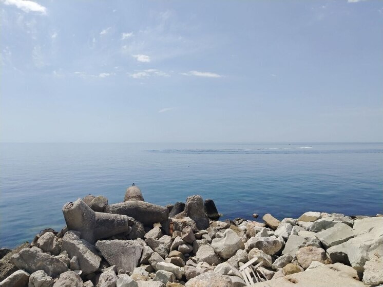 Губернатор: 380 юных белгородцев уехали на отдых в Крым