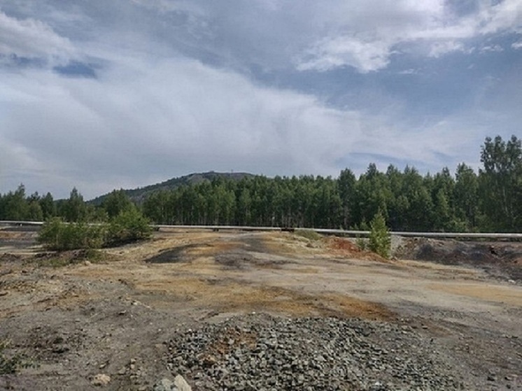 В ЯНАО прокуратура заставила предприятие восстановить лес