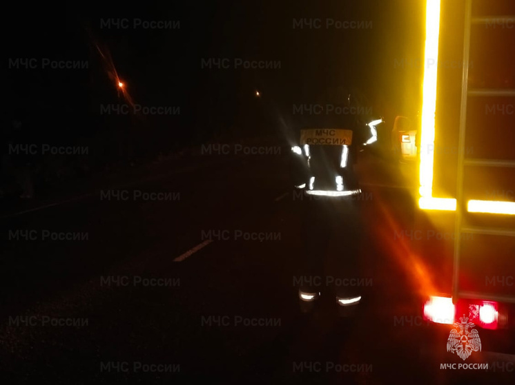 На трассе под Боровском сбили пешехода