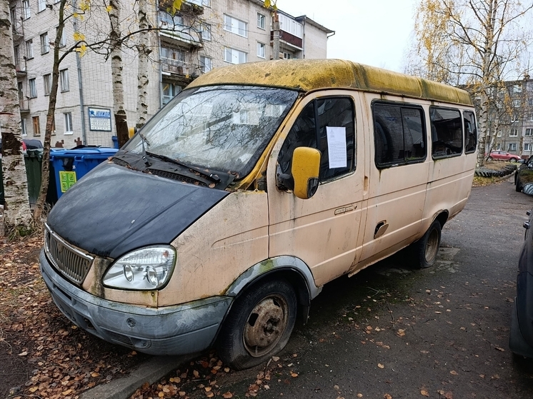 Под Хэллоуин: в Новодвинске разыскивают владельцев автопризраков