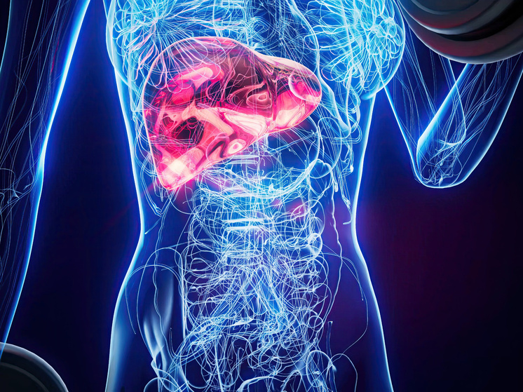 В Красноярске успешно прооперировали пациента с редким паразитарным заболеванием печени