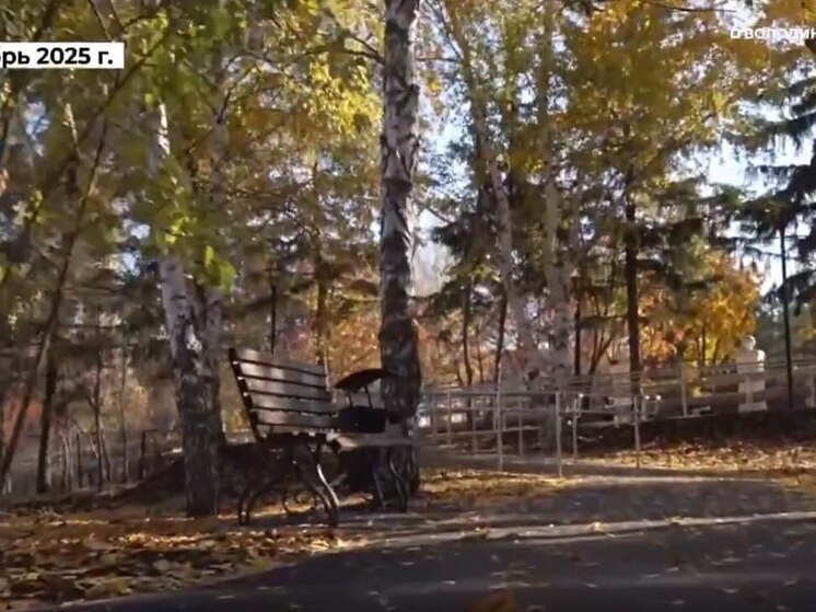 В Ленинском районе Саратова открылся новый сквер