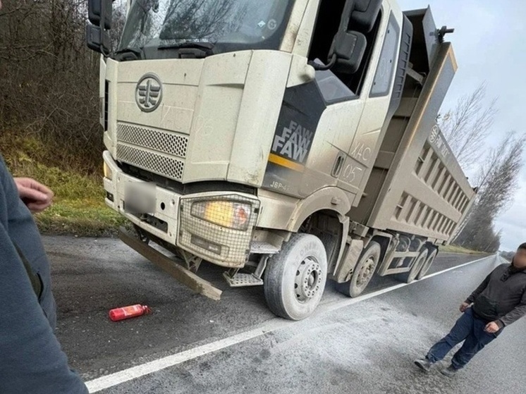 В Тосненском районе Госавтоинспекция предотвратила возгорание автомобиля