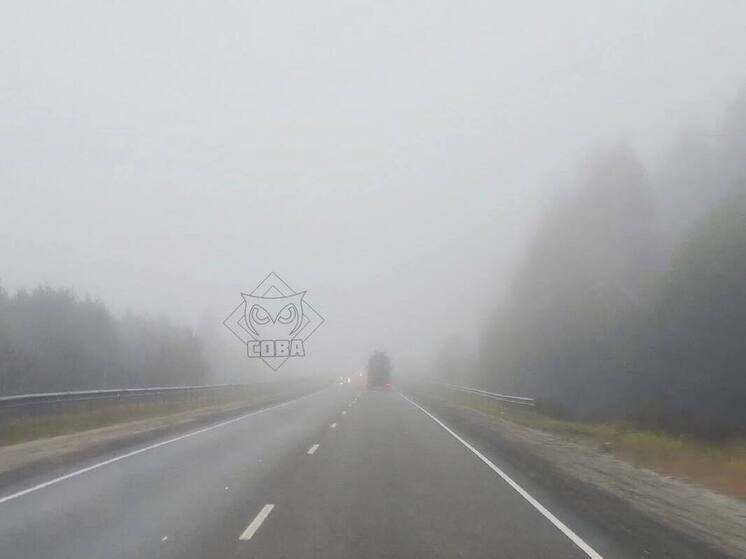 Пензенские автомобилисты сообщают о сильном тумане на трассе