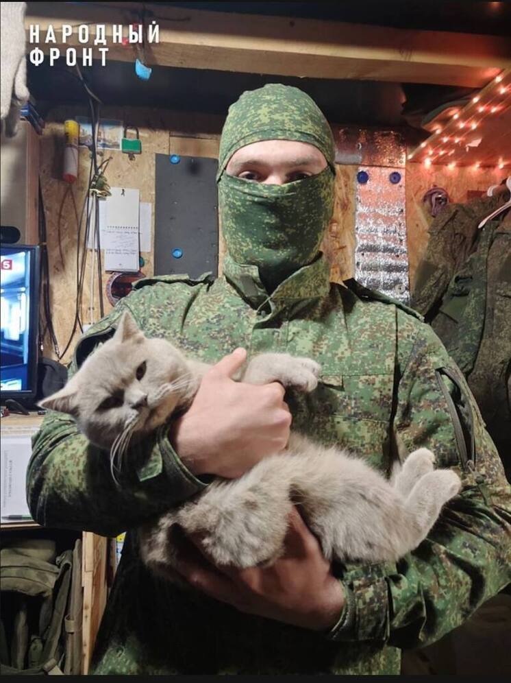 Кошка Карамелька поддерживает тульских бойцов в зоне СВО
