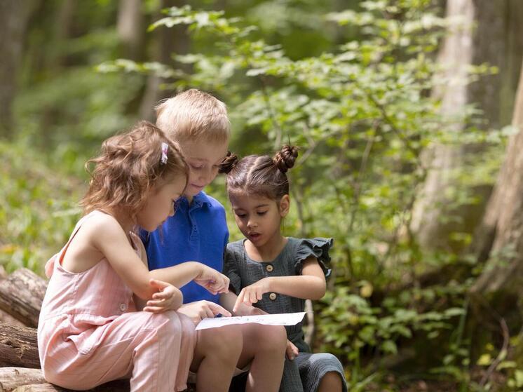Курский детский лагерь им. Гайдара выплатит полмиллиона рублей за перелом ноги у ребенка
