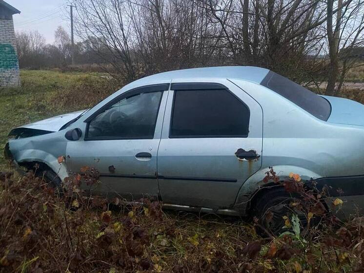 В Старорусском округе водитель съехал в кювет, травмировал пассажирку и исчез