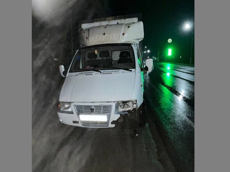 Под колесами фургона на воронежской дороге погиб пешеход