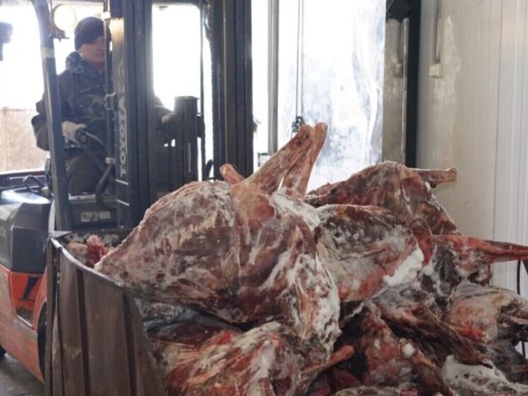 Свежая оленина поступила в магазины и учреждения образования Эгвекинота