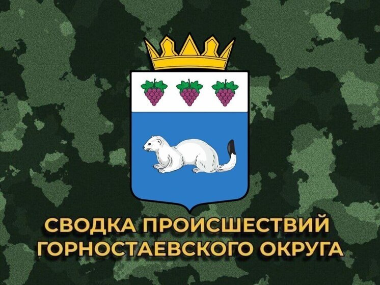 За сутки ВСУ 14 раз обстреляли Горностаевский округ Херсонской области