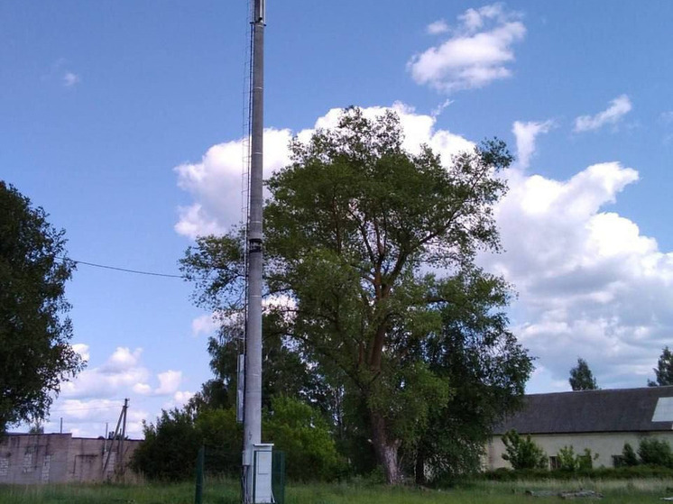 Цифровая доступность Смоленской области: более 3300 жителей получили качественную связь благодаря нацпроекту "Экономика данных"