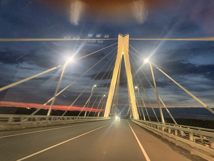 Освещение моста через Оку обернулось уголовным делом для чиновников Владимирской области