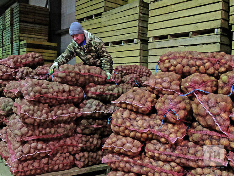 В Татарстане за неделю подорожали яйца и картофель