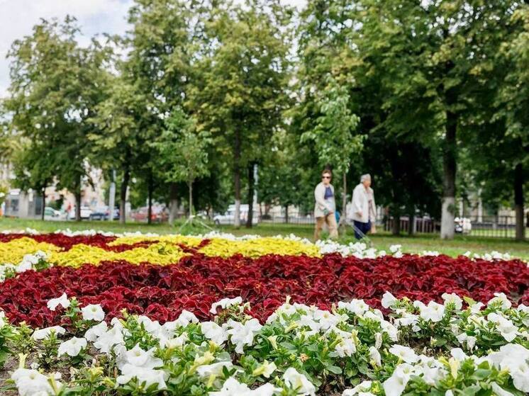 72 дерева незаконно вырубили на территории Нижнего Новгорода