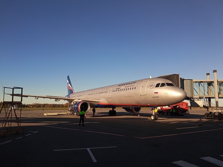 Таможенники в «Шереметьево» изъяли у контрабандиста валюту на 110 тысяч долларов