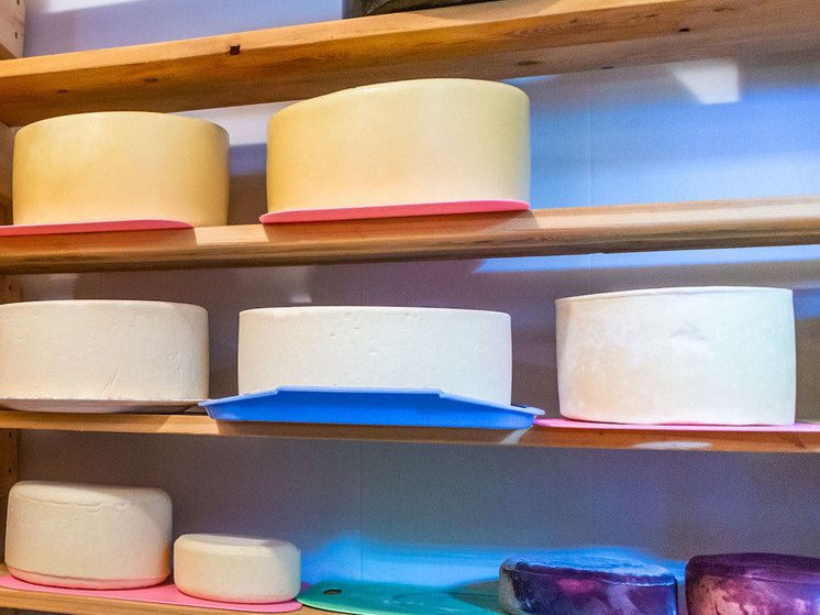 В Челябинске сожгли в печи партии санкционного сыра