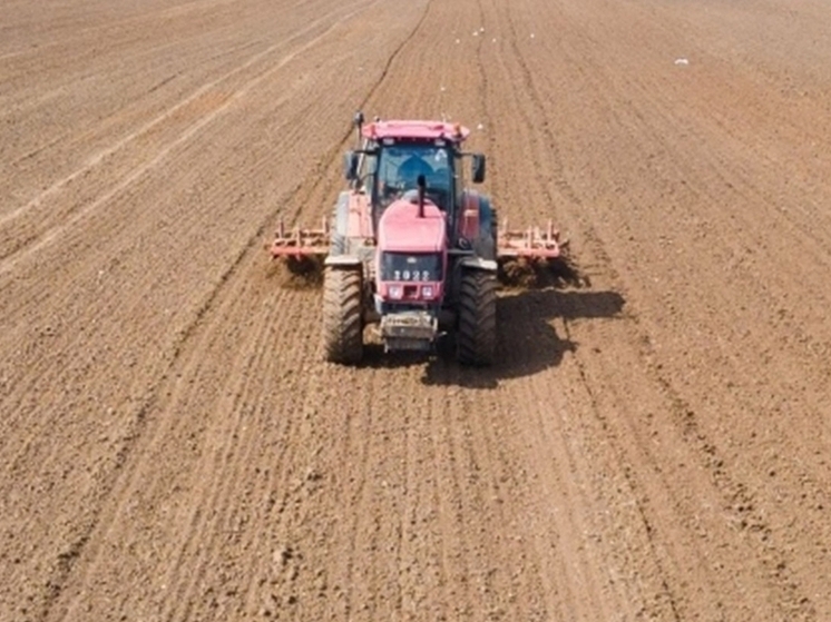 Ивановские аграрии подвели итоги сева озимых