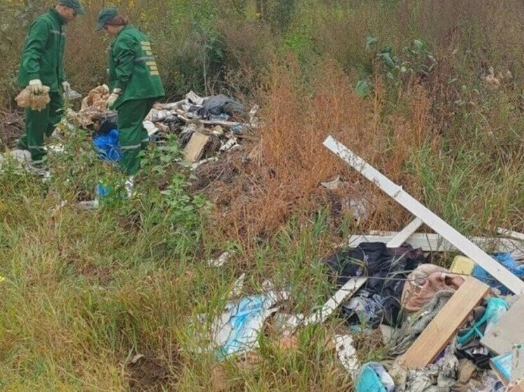 Цена равнодушия: Моршанский округ заплатит 7 миллионов за ядовитые свалки