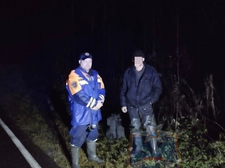 Спасатели и добровольцы вывели заблудившегося мужчину из леса под Лугой