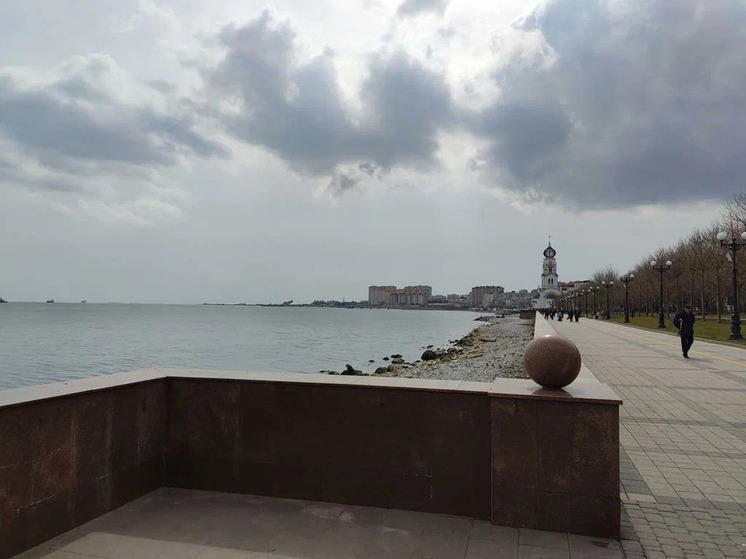 СМИ: в Новороссийске оштрафовали моряка из Китая за разлив мазута в Цемесской бухте