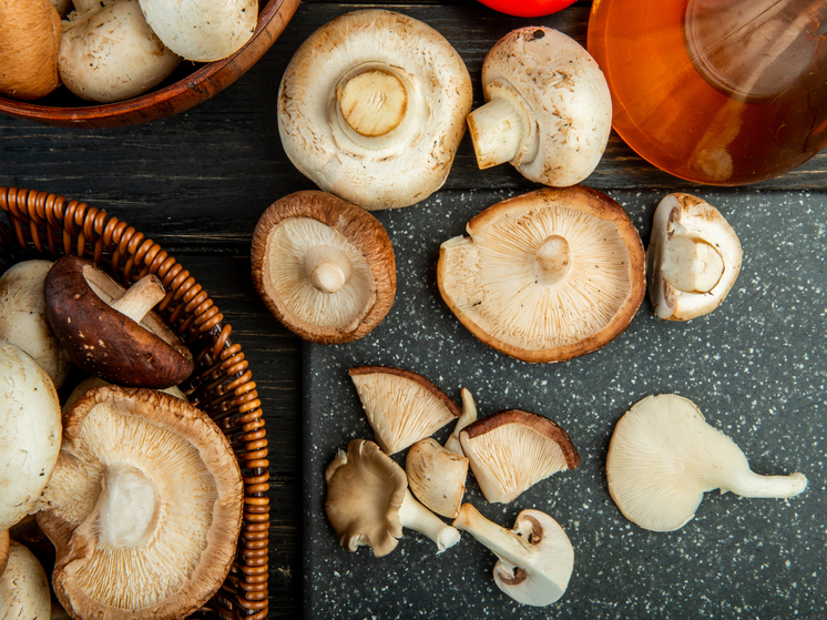 В Курской области зарегистрировано 20 случаев отравления грибами, пострадали четверо детей