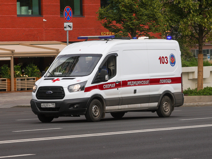 Mash: В Петергофе найден мёртвым студент из Бурятии