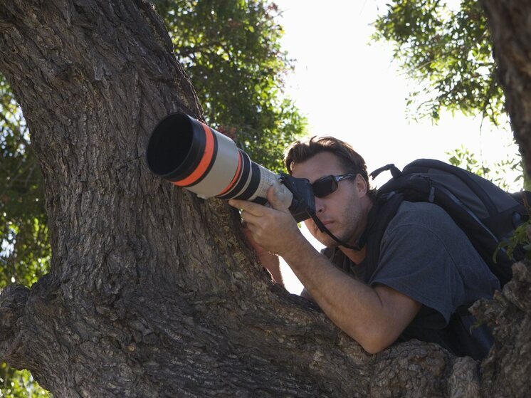 Мутация вызывает потерю пигментации у шерсти, но не является альбинизмом