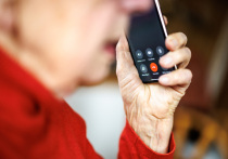 Выяснились подробности задержания 18-летнего курьера, который участвовал в обмане 101-летней женщины-ветерана из Каширы