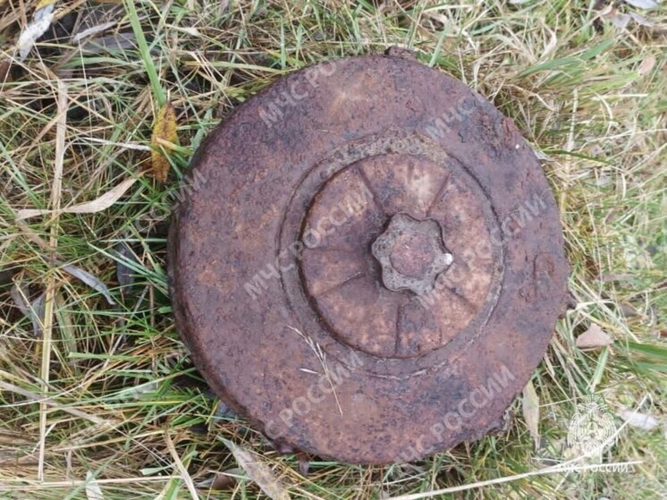 Брянские спасатели обезвредили противотанковую мину времен ВОВ