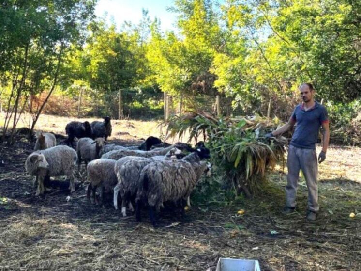 Многодетный белгородец дважды заключил соцконтракт