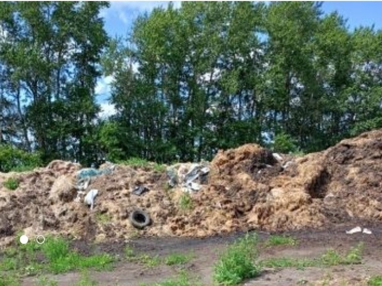 В Пензенской области вернули в севооборот участок земли, используемый в качестве свалки