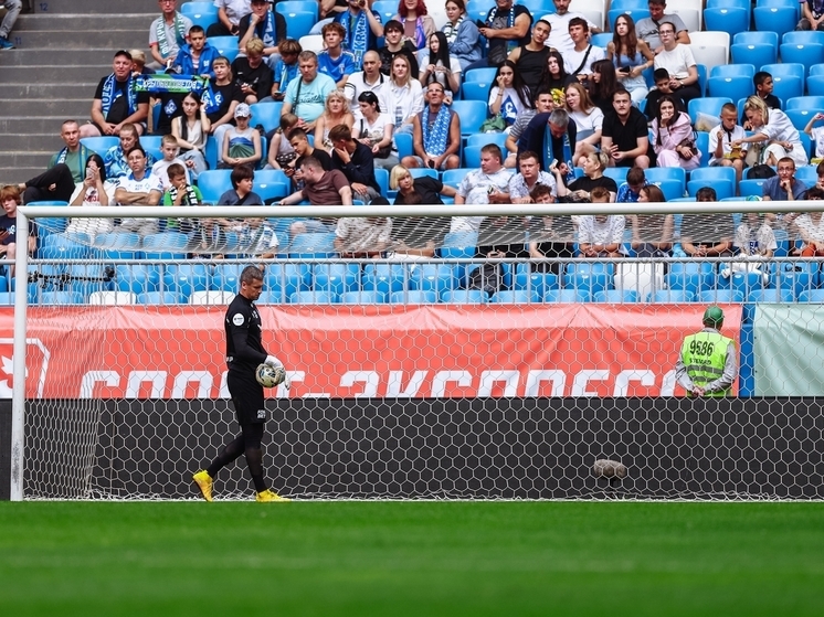 За последние 5 сезонов РПЛ в ворота «Крыльев Советов» поставили 36 пенальти