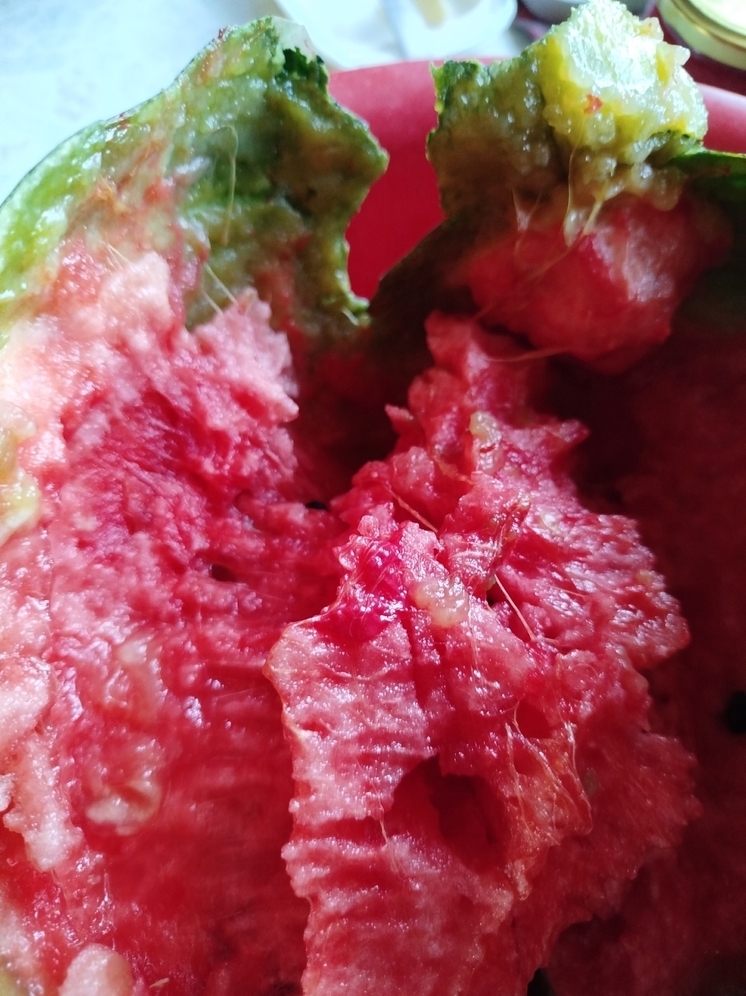 Жительница Петрозаводска купила арбуз и не смогла его съесть, опасаясь за жизнь