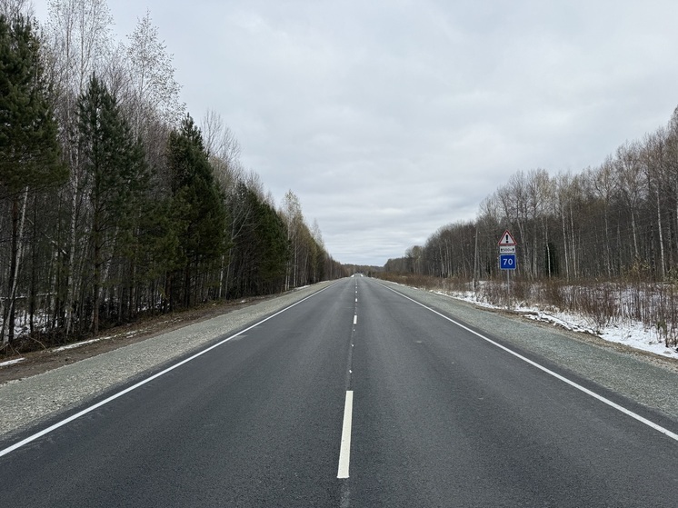 Более 18 км трассы Бакчар – Подгорное – Коломино отремонтировали в Томской области по нацпроекту